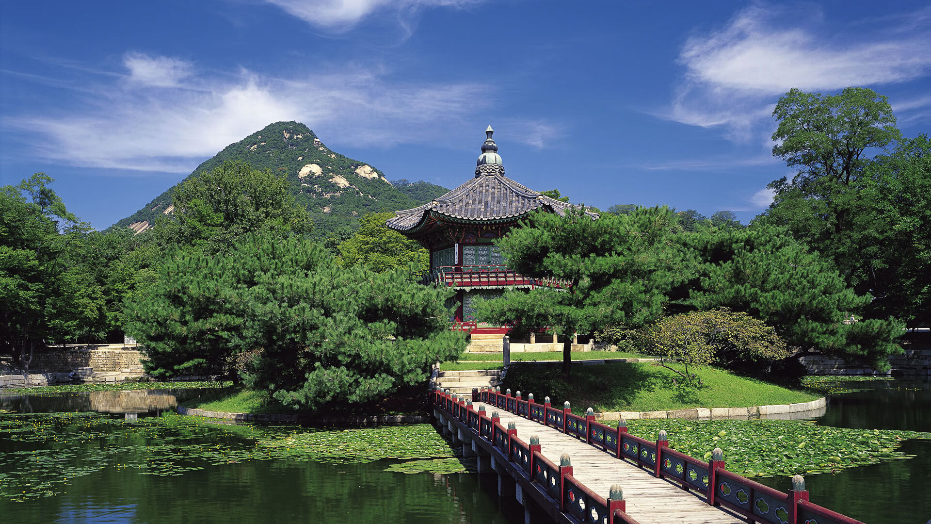 世界举重康复在线课堂新增运动处方模块上线,2021年世界举重比赛视频